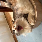 みーさんのアイコン