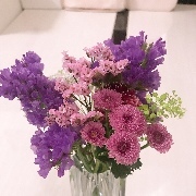 honobonoさんのアイコン