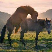 恥垢さんのアイコン