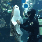 アモーレ！ｗさんのアイコン