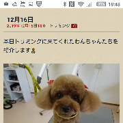 mm9*****さんのアイコン