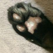 趣味 : 滝行 デーセク祈祷さんのアイコン