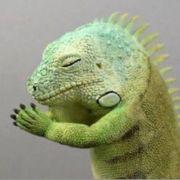 株価天井唯我独尊さんのアイコン