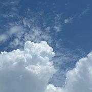 キャピタル・インカムさんのアイコン