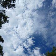 毎日ゴミ拾い、徳の積み立てさんのアイコン