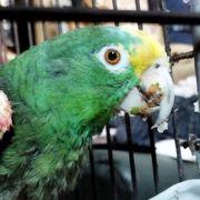 ま〜さんさんのアイコン