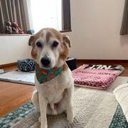 ケツが本体のマルさんのアイコン