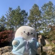 空たんさんのアイコン