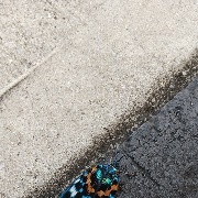 esp*****さんのアイコン