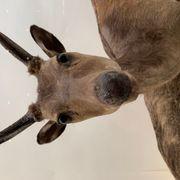 d44*****さんのアイコン