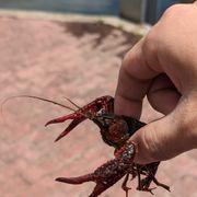 まるをさんのアイコン