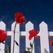 job*****さんのアイコン