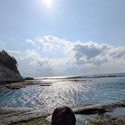 ポッケの住人さんのアイコン