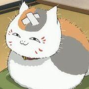 にゃんこ先生さんのアイコン