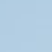 原始の猿さんのアイコン