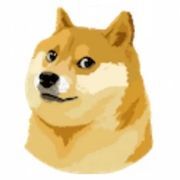 inuuuuunさんのアイコン