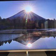 チビ助さんのアイコン