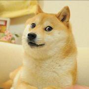 893*****さんのアイコン