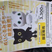 住友ファーマ(株)【4506】：掲示板 - Yahoo!ファイナンス