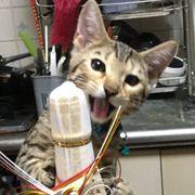 nakano3hさんのアイコン