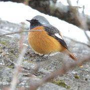 MUGENさんのアイコン