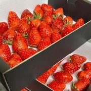 チェリーさんのアイコン