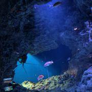 666さんのアイコン