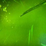 茶さんのアイコン