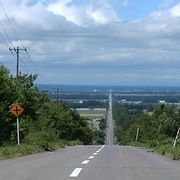 2020さんのアイコン