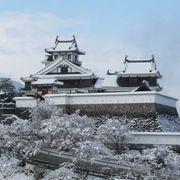 008さんのアイコン