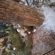 挑戦者さんのアイコン