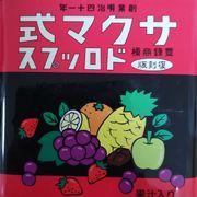 サクマさんのアイコン