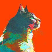 qql*****さんのアイコン