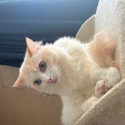 ぎん氏さんのアイコン