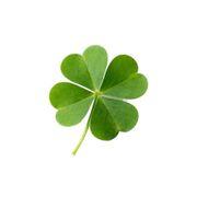 株神さんのアイコン