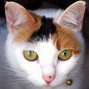 masaさんのアイコン