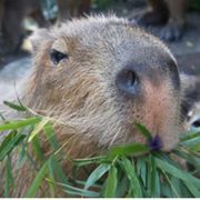 620*****さんのアイコン