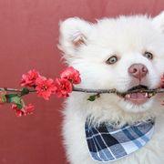 c9e*****さんのアイコン