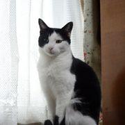 のんたんさんのアイコン