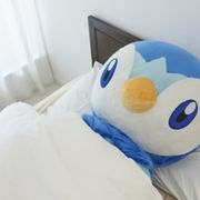 ポー太子さんのアイコン