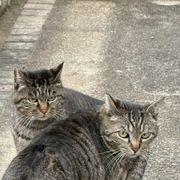 edさんのアイコン