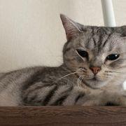 xan*****さんのアイコン