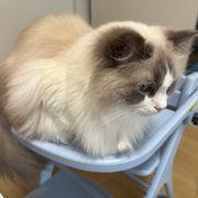 なっつまんさんのアイコン