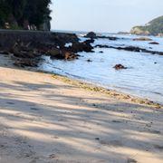 株初心者さんのアイコン