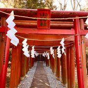 もうすぐ億り人さんのアイコン