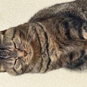 e67*****さんのアイコン