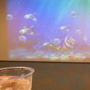 オルカンマニアさんのアイコン