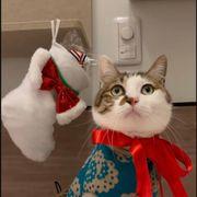 ひなたさんのアイコン