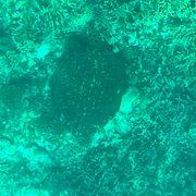 小株主さんのアイコン