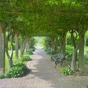 ジャイアント小西ＪＫさんのアイコン